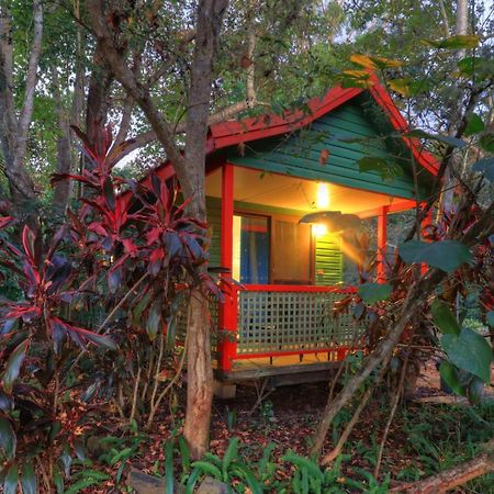 Lake Eacham Tourist Park & Cabins Екстериор снимка