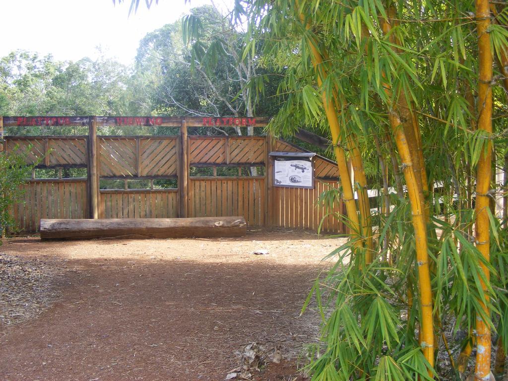 Lake Eacham Tourist Park & Cabins Екстериор снимка