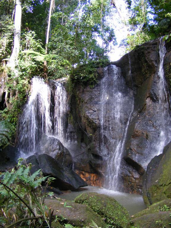 Lake Eacham Tourist Park & Cabins Екстериор снимка