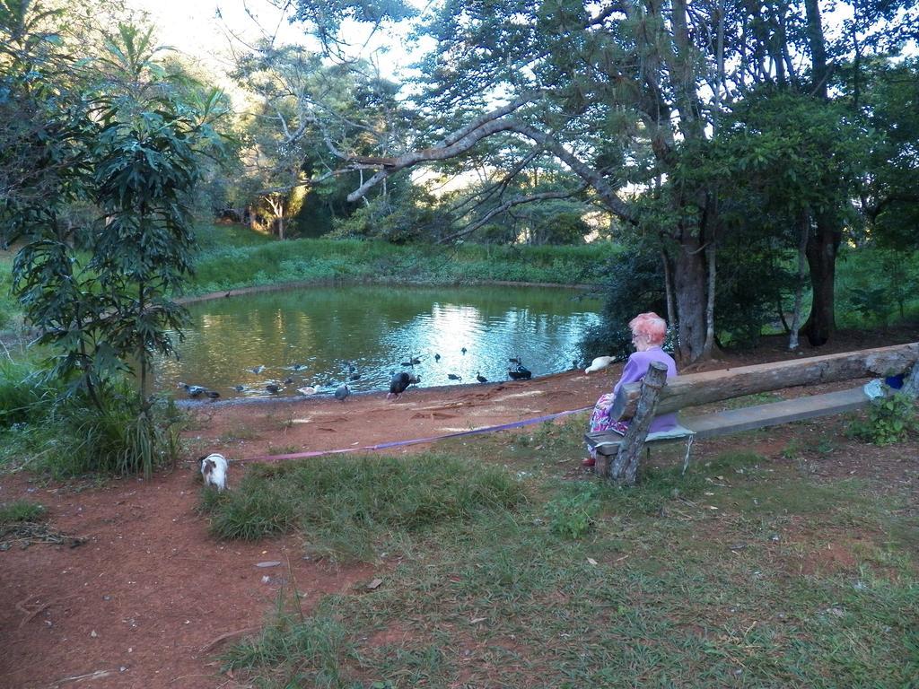 Lake Eacham Tourist Park & Cabins Екстериор снимка