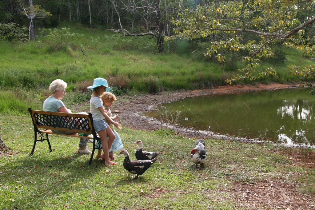 Lake Eacham Tourist Park & Cabins Екстериор снимка