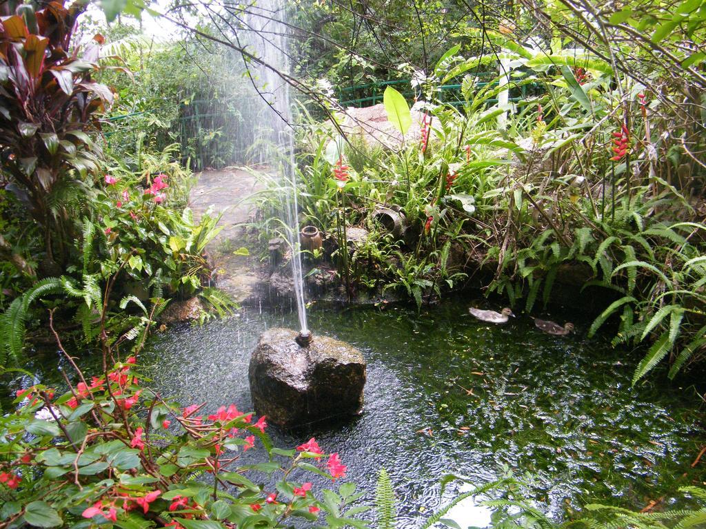 Lake Eacham Tourist Park & Cabins Екстериор снимка