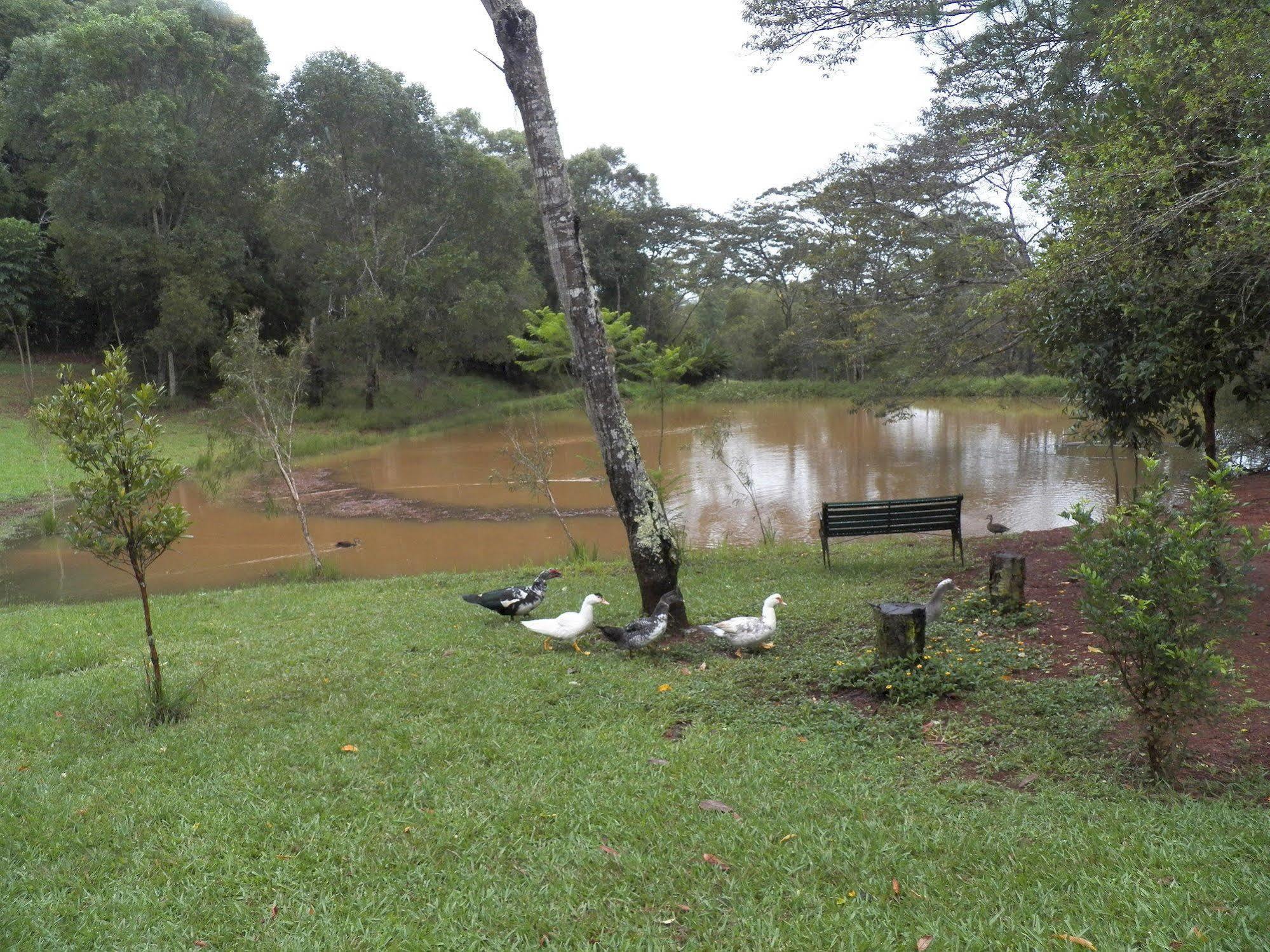 Lake Eacham Tourist Park & Cabins Екстериор снимка